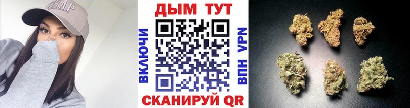 Шишки марихуана индика Ак-Довурак